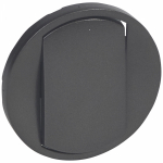 Накладка выкл. 1-кл. графит Celiane Legrand (10)