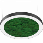 NATURE OREOL MOSS FLD/P (1250) 840 BK