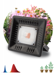 ЭРА FITO-50W-LED BLUERED (20/420)