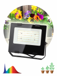 Прожектор ФИТО СДО 50Вт 4000К IP65 245x210x45 для цветения и плодоношения FITO-50W-Ra90-LED ЭРА (1/10)