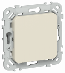 FLITE Заглушка с суппортом ЗГ-ФлСл сл IEK