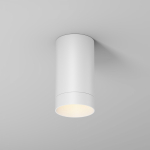 Outdoor Уличный потолочный светильник Белый O500CL-L5W3K