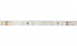 Лента светодиодная PLS PRO-5 2835/ 60-24V 6000K  6W/m IP20-5m Jazzway