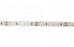 Лента светодиодная PLS PRO-5 2835/120-24V 3000K 10W/m IP20-5m Jazzway
