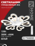 Светильник светодиодный ELEGANT IRIS 120Вт 230В 3000-6500K 8400Лм 607х535х85мм c пультом ДУ белый IN HOME