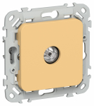 FLITE Роз. TV экран. проходная тип M РТВм-1-1-2-ФлЗ зол. IEK