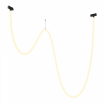 Подвесной светильник Maytoni Tau TR101-2-100W3K-B