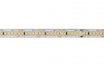 Лента светодиодная PLS PRO-5 2835/240-24V 6000K 20W/m IP20-5m Jazzway