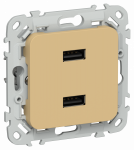 FLITE Роз. USB AA 2,1А РЮ-2-ФлШм ш/а IEK