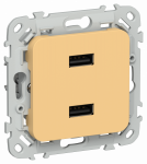 FLITE Роз. USB AA 2,1А РЮ-2-ФлЗ зол. IEK