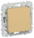 FLITE Выключ. 1-кл. кноп. 10А ВС11-2-0-ФлШм ш/а IEK