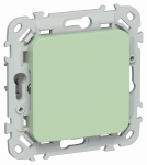 FLITE Заглушка с суппортом ЗГ-ФлФ фис. IEK