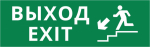 Пиктограмма ДСО-IP65-Н "Выход - лестница вниз"