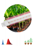 Светильник для растений, фитолампа светодиодная линейная ЭРА FITO-10W-Т5-RB-Slim красно-синего спектра 10 Вт Т5