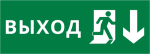 Пиктограмма ДСО-IP20 "Выход Фигура - вниз 2"