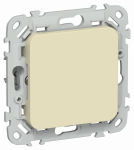 FLITE Заглушка с суппортом ЗГ-ФлН нав. IEK