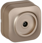 GLORY Роз. TV о/у РТВ20-ХШм шамп. м. IEK