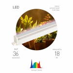 Светильник для растений фитолампа светодиодная линейная ЭРА ФИТО-18W-PFR-GR полного спектра 18 Вт GREEN LINE Светильник для растений фитолампа светодиодная линейная ЭРА ФИТО-18W-PFR-GR полного спектра 18 Вт GREEN LINE