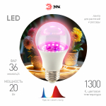 Фитолампа для растений светодиодная ЭРА FITO-20W-RB-E27 красно-синего спектра 20 Вт Е27 Фитолампа для растений светодиодная ЭРА FITO-20W-RB-E27 красно-синего спектра 20 Вт Е27