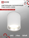 Светильник потолочный НПБ ЦИЛИНДР GX53-CH/WH под лампу GX53 95х80мм белый/хром IN HOME