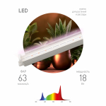 Светильник для растений фитолампа светодиодная линейная ЭРА FITO-18W-Ra90 полного спектра 18 Вт Светильник для растений фитолампа светодиодная линейная ЭРА FITO-18W-Ra90 полного спектра 18 Вт