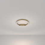 Maytoni Потолочный светильник MOD058CL-L25BSK