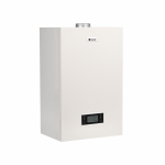 SKAT BG GOLD 32 газовый настенный котёл (двухконтурный)