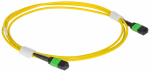 ITK Сборка кабельная MTPf-MTPf тип B 12 SM OS2 2м