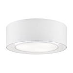 Потолочный светильник MOD617CL-04GR