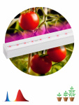 Светильник светодиод фито для растений 14Вт красно-синего спектра IP20 Т5 873мм FITO-14W-Т5-N ЭРА (1/30)