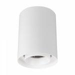 Светильник SP-FOCUS-R110-18W Day4000 (WH, 50 deg, 230V) (Arlight, IP54 Металл, 5 лет)