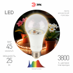 Фитолампа для растений светодиодная ЭРА FITO-25W-Ra90-E27 полного спектра 25 Вт Е27