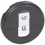 CLN2 Накл. розетки 1хRJ45 Граф