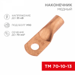Наконечник ТМ 70-10-13 медный REXANT (5)