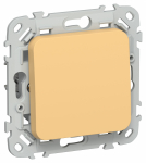 FLITE Выключ. 1-кл. прох. 10А ВС61-1-0-ФлЗ зол. IEK