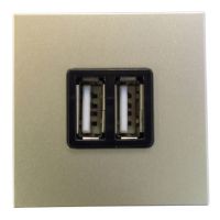 Мех-м с накладкой USB с/у usb пластик шампань IP20 ABB Zenit