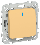 FLITE Выключ. 1-кл. кноп. с инд. 10А ВС11-2-1-ФлЗ зол. IEK