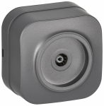 GLORY Роз. TV о/у РТВ20-ХСм сталь м. IEK