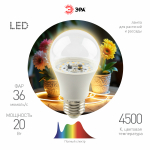 Фитолампа для растений светодиодная ЭРА FITO-20W-Ra90-E27 полного спектра 20 Вт Е27