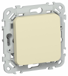 FLITE Выключ. 1-кл. кноп. прох. 10А ВС61-2-0-ФлН нав. IEK