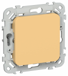 FLITE Заглушка с суппортом ЗГ-ФлЗ зол. IEK