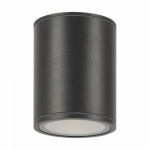 Bar Потолочный светильник O306CL-L12GF