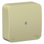 Коробка распределительная о/у крем 2 удаляемые заглушки IP42 Blanca Schneider Electric (1/15)