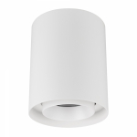 Светильник SP-FOCUS-R132-24W Warm3000 (WH, 36 deg, 230V) (Arlight, IP54 Металл, 5 лет)