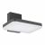 Светильник LGD-TENT-WALL-9W Warm3000 (GR, 110 deg, 230V) (ARL, IP65 Металл, 3 года)
