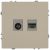 Розетка ЭРА Galaxy 15-3110-04 комбинированная RJ45+TV IP20 шампань
