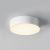 Maytoni Потолочный светильник Zon IP O431CL-L30W3K