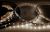 Лента светодиод SMD 2835 4,8Вт 60LED 12В 6000К бел IP23 8мм 5м Neon-Night (1/1/50)