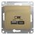 Розетка 2гн USB+USB typeА+ typeС с/у титан механизм 5В/2,4А 2х5В/1,2А Glossa Systeme Electric (1)