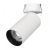 Светильник SP-GABI-BUILT-FLAP-R60-12W Day4000 (WH, 60 deg, 230V) (Arlight, IP40 Металл, 5 лет)